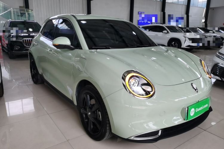 Used ORA Good Cat 2024 401 km Luxury Version Exterior 1