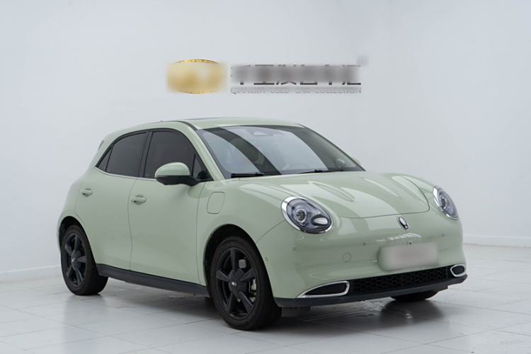 Used ORA Good Cat 2024 501 km Luxury Version Exterior 2