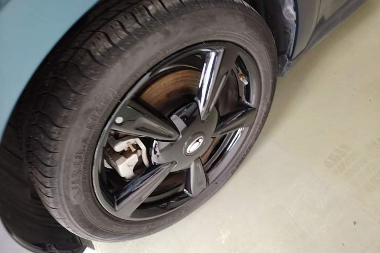 Used ORA Good Cat 2024 501 km Luxury Version Exterior 2