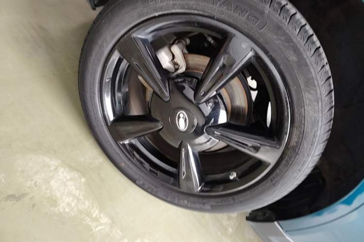 Used ORA Good Cat 2024 501 km Luxury Version Exterior 3