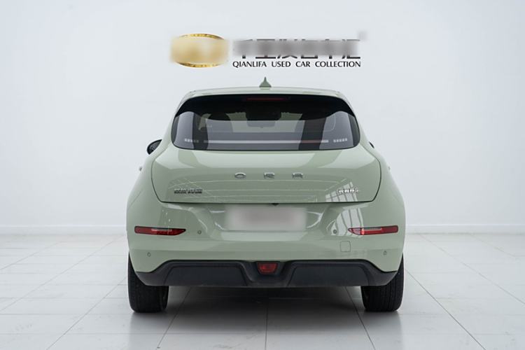 Used ORA Good Cat 2024 501 km Luxury Version Exterior 5