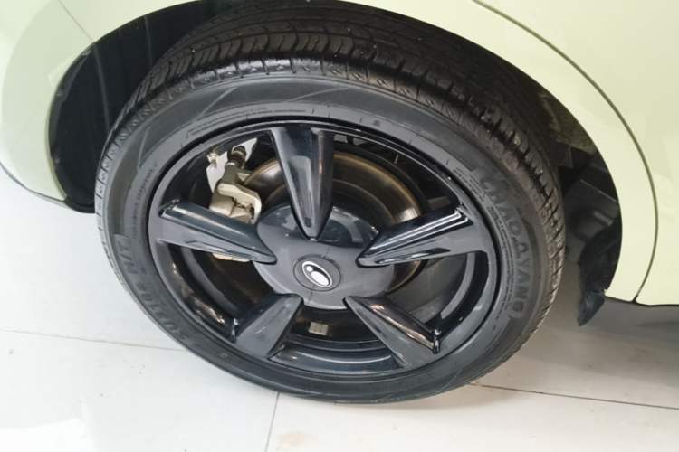 Used ORA Good Cat 2024 401 km Luxury Version Exterior 5