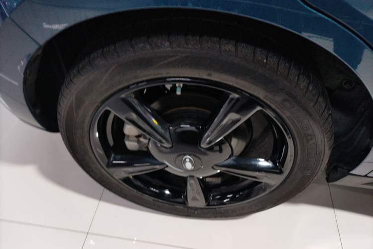 Used ORA Good Cat 2024 401 km Luxury Version Exterior 8