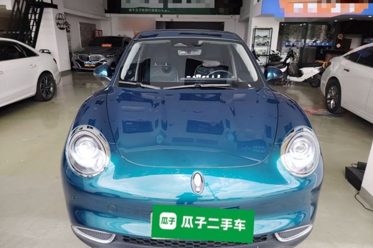 Used ORA Good Cat 2024 501 km Luxury Version Front
