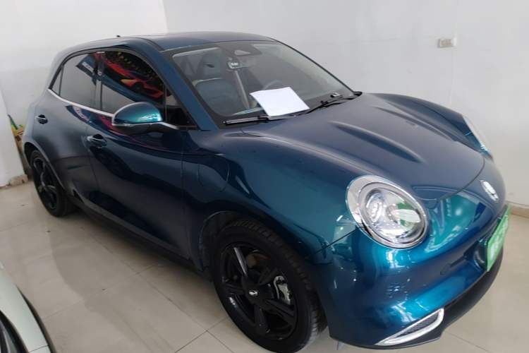 Used ORA Good Cat 2024 401 km Luxury Version Front Right 45 Deg