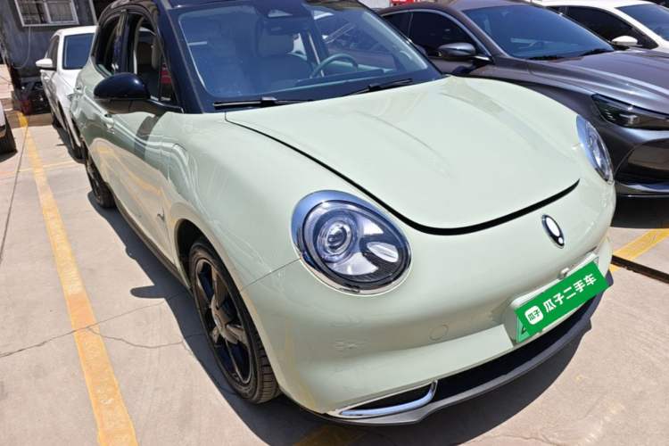 Used ORA Good Cat 2024 401 km Luxury Version Front Right 45 Deg