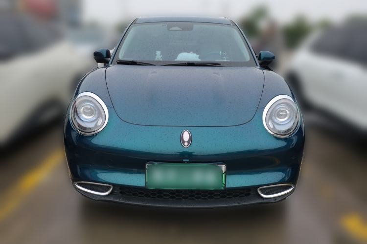Used ORA Good Cat 2024 401 km Luxury Version Front