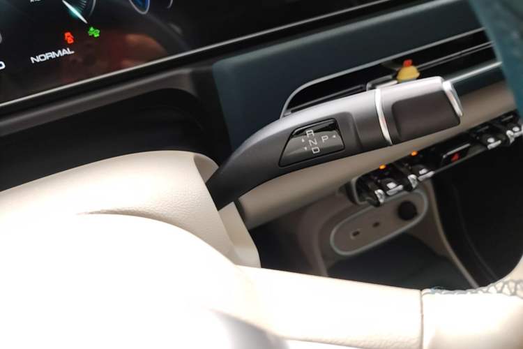 Used ORA Good Cat 2024 501 km Luxury Version Gear Lever