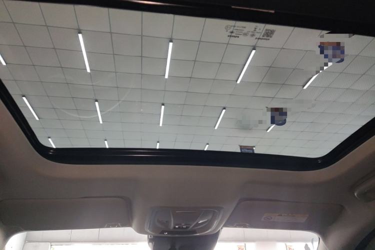 Used ORA Good Cat 2024 401 km Range Luxury Version 135 kW Headliner