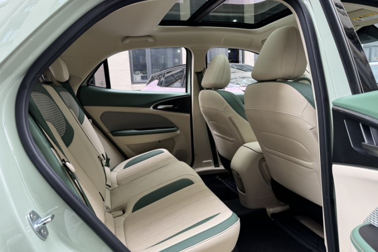 Used ORA Good Cat 2024 401 km Luxury Version Interior 10
