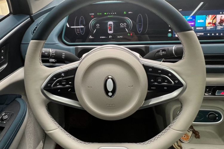 Used ORA Good Cat 2024 501 km Luxury Version Interior 2