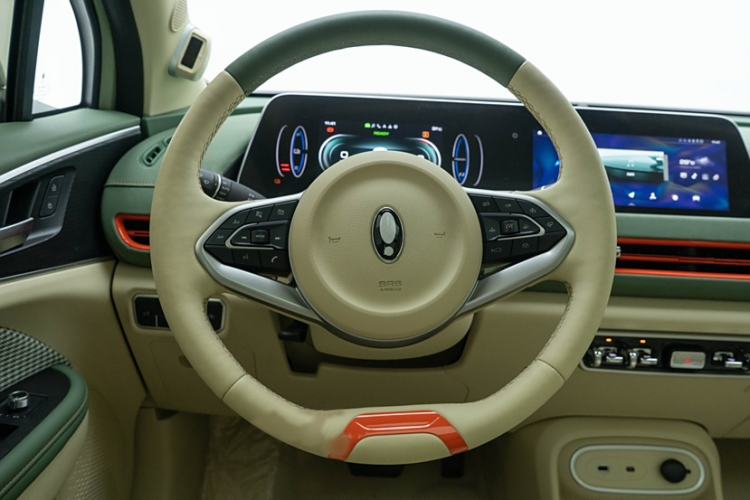 Used ORA Good Cat 2024 501 km Luxury Version Interior 4