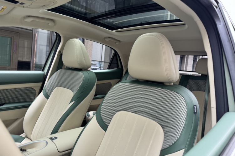 Used ORA Good Cat 2024 401 km Luxury Version Interior 4