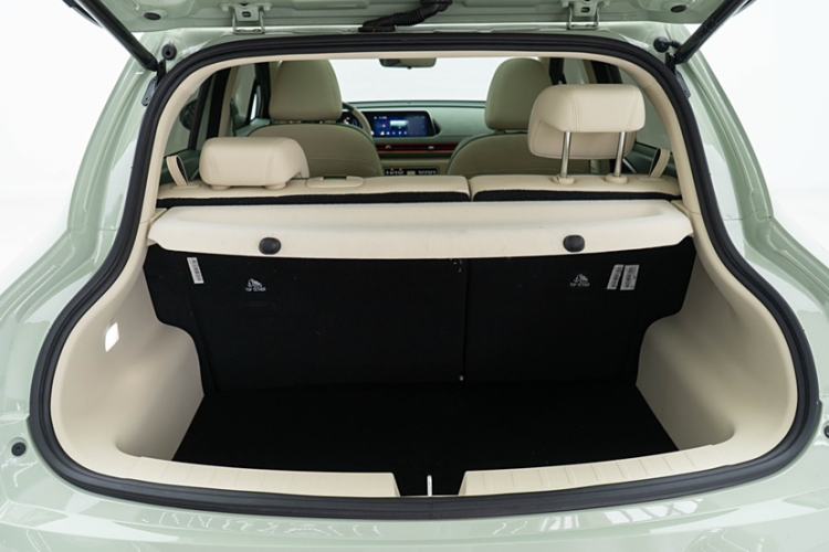 Used ORA Good Cat 2024 501 km Luxury Version Interior 9