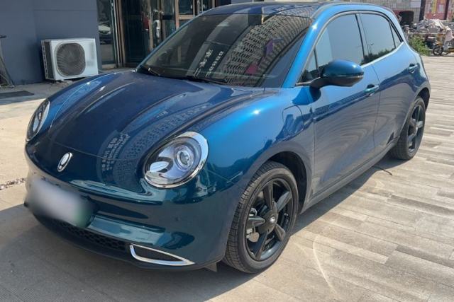 Used ORA Good Cat 2024 401 km Luxury Version