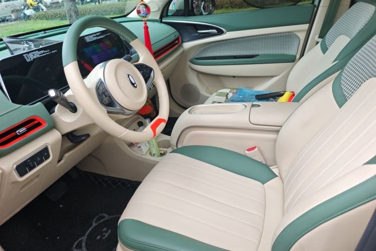 Used ORA Good Cat 2024 401 km Luxury Version Left Front Seat