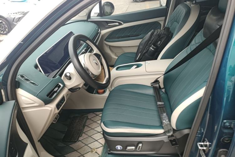 Used ORA Good Cat 2024 501 km Luxury Version Left Front Seat