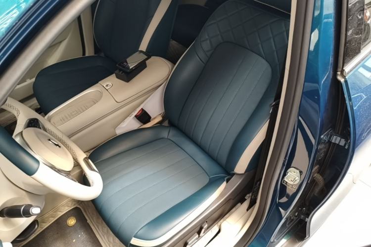 Used ORA Good Cat 2024 401 km Luxury Version Left Front Seat