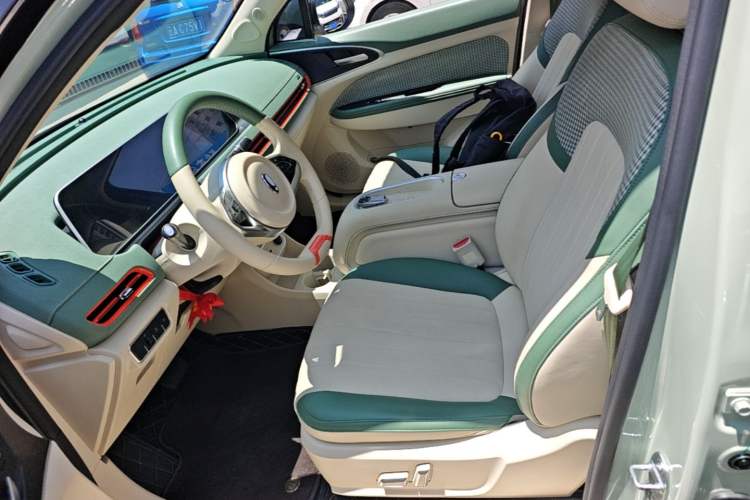 Used ORA Good Cat 2024 401 km Luxury Version Left Front Seat
