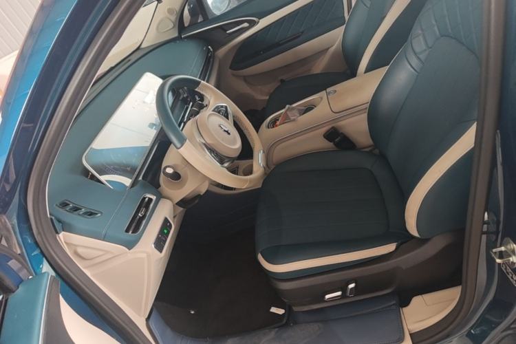 Used ORA Good Cat 2024 401 km Luxury Version Left Front Seat