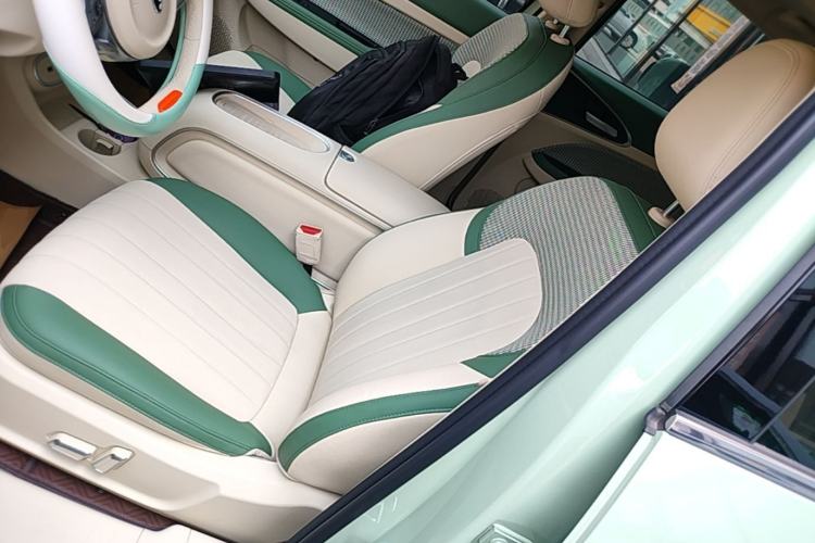 Used ORA Good Cat 2024 401 km Luxury Version Left Front Seat