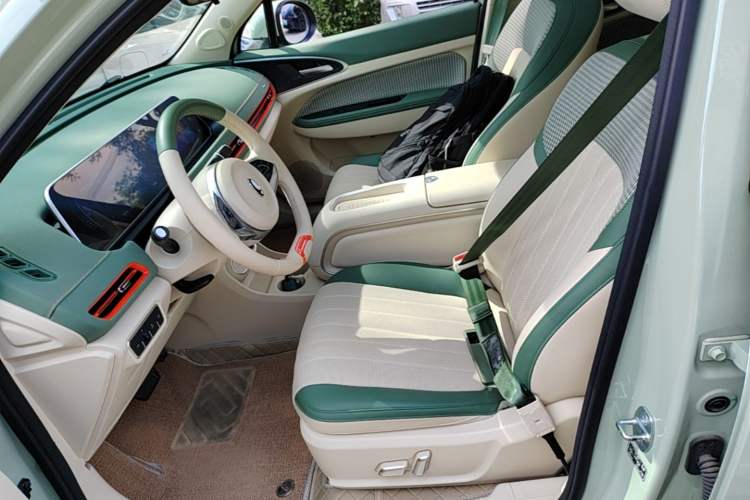 Used ORA Good Cat 2024 401 km Range Luxury Version 135 kW Left Front Seat