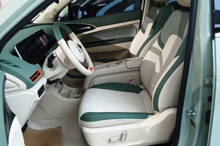 Used ORA Good Cat 2024 401 km Luxury Version Left Front Seat