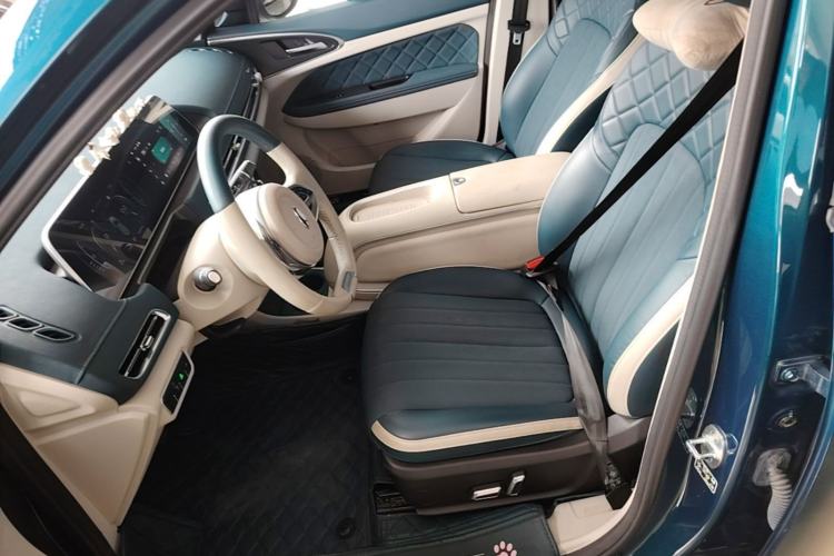 Used ORA Good Cat 2024 501 km Luxury Version Left Front Seat