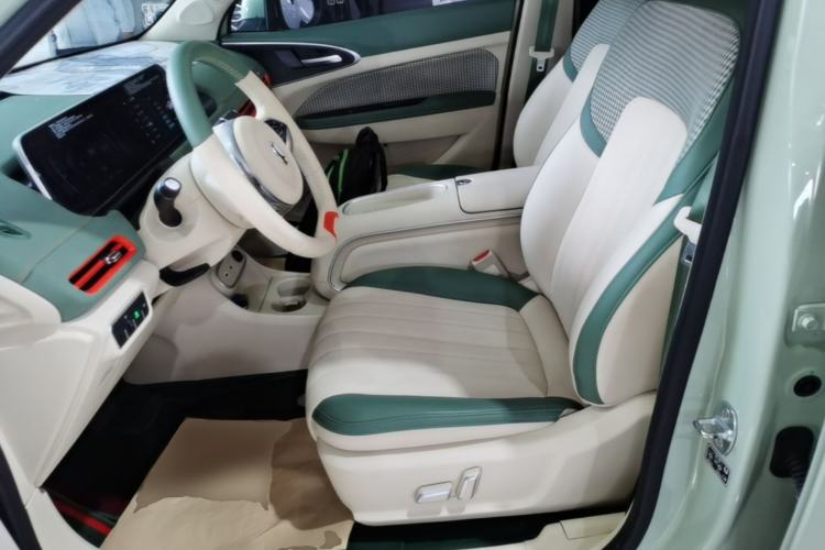 Used ORA Good Cat 2024 401 km Luxury Version Left Front Seat