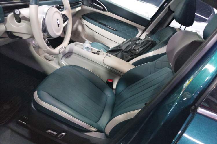 Used ORA Good Cat 2024 401 km Luxury Version Left Front Seat
