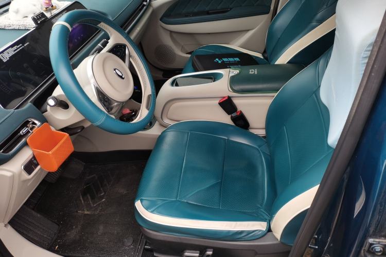 Used ORA Good Cat 2024 401 km Luxury Version Left Front Seat
