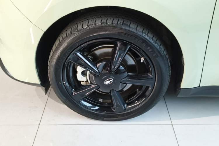 Used ORA Good Cat 2024 401 km Luxury Version Left Front Wheel Hub