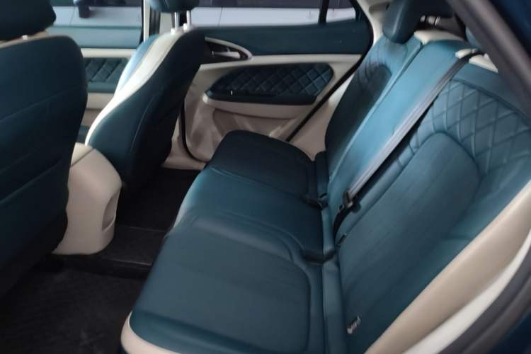 Used ORA Good Cat 2024 401 km Luxury Version Left Rear Seat