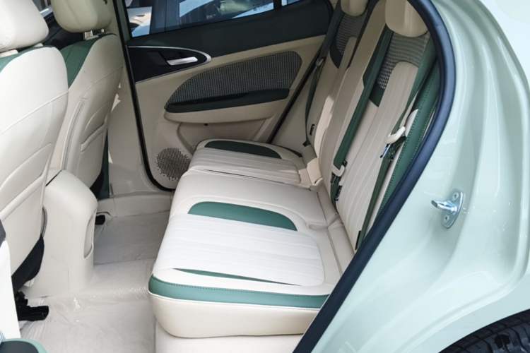 Used ORA Good Cat 2024 401 km Luxury Version Left Rear Seat