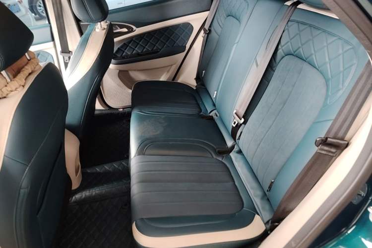 Used ORA Good Cat 2024 501 km Luxury Version Left Rear Seat