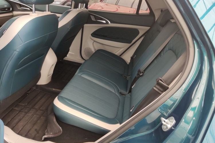 Used ORA Good Cat 2024 401 km Luxury Version Left Rear Seat