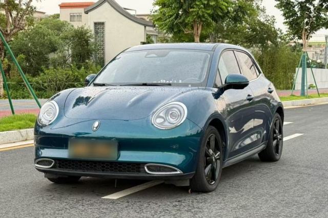 Used ORA Good Cat 2024 501 km Luxury Version
