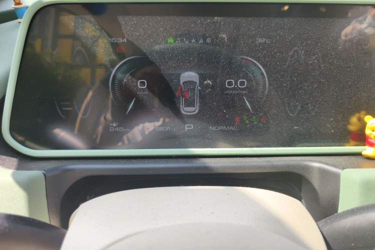 Used ORA Good Cat 2024 401 km Range Luxury Version 135 kW Odometer Close Up