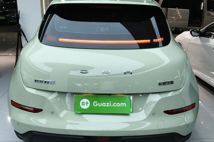 Used ORA Good Cat 2024 401 km Luxury Version Rear