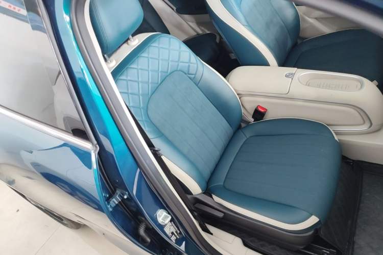 Used ORA Good Cat 2024 401 km Luxury Version Right Front Seat