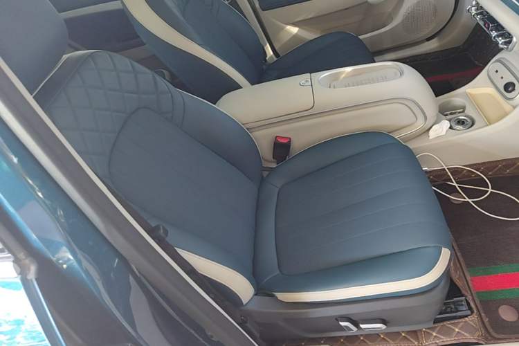Used ORA Good Cat 2024 401 km Luxury Version 126 kW Right Front Seat