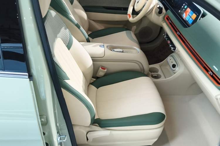 Used ORA Good Cat 2024 401 km Luxury Version Right Front Seat