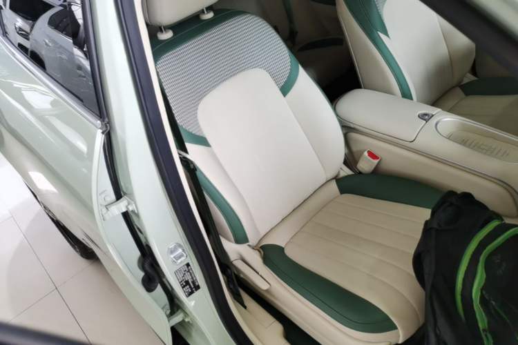 Used ORA Good Cat 2024 401 km Luxury Version Right Front Seat
