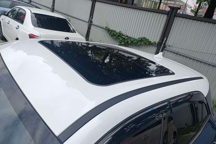 Used ORA Good Cat 2024 501 km Luxury Version Roof