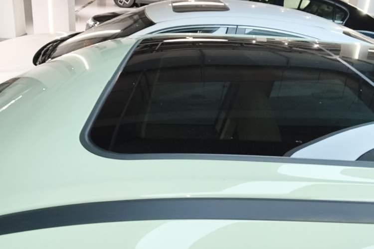 Used ORA Good Cat 2024 401 km Luxury Version Roof
