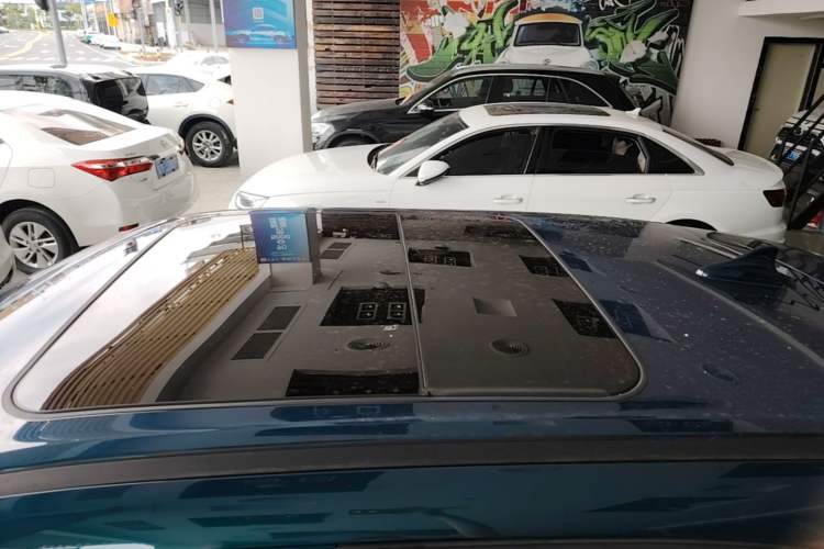 Used ORA Good Cat 2024 501 km Luxury Version Roof