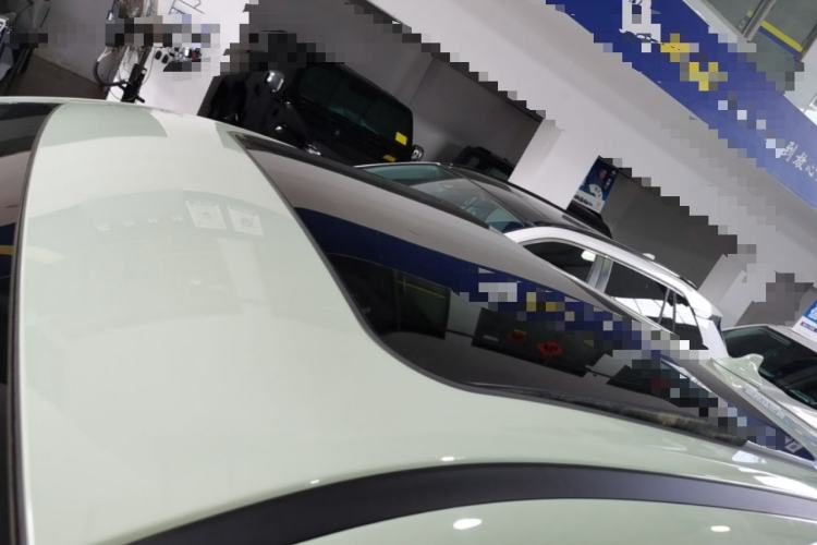 Used ORA Good Cat 2024 401 km Luxury Version Roof