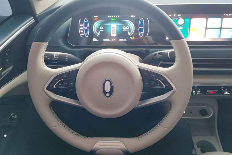 Used ORA Good Cat 2024 401 km Luxury Version Steering Wheel