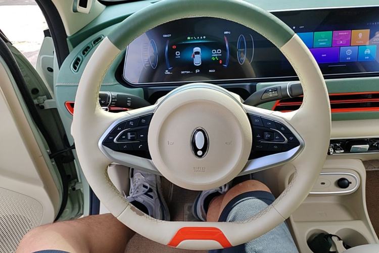 Used ORA Good Cat 2024 401 km Range Luxury Version 135 kW Steering Wheel