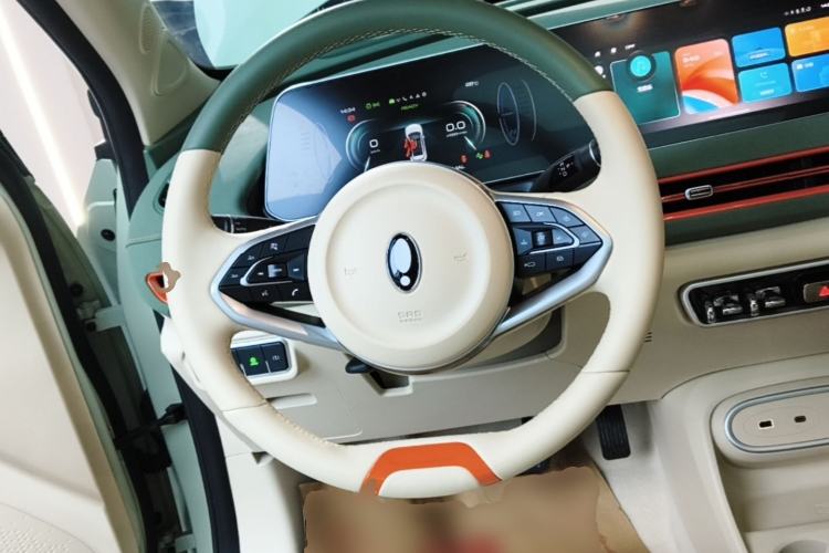 Used ORA Good Cat 2024 401 km Luxury Version Steering Wheel